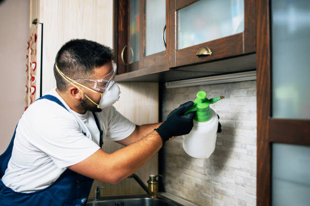 Reliable Fox Point, WI Pest Control Solutions
