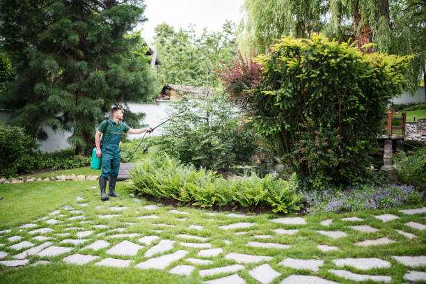 Best Residential Pest Control  in Fox Point, WI