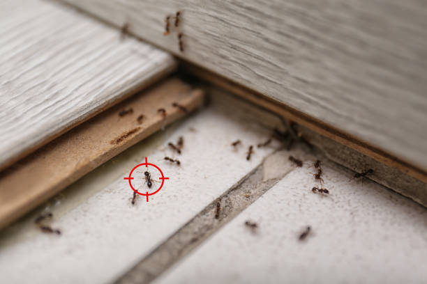Best Pest Control for Restaurants  in Fox Point, WI