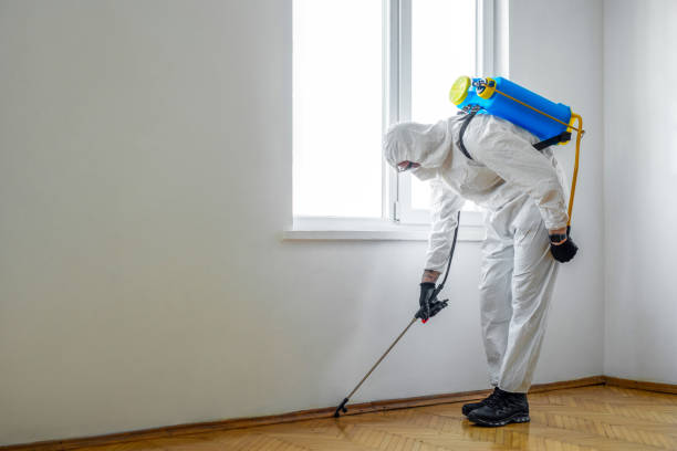 Best Pest Control Near Me in Fox Point, WI