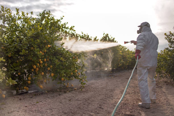 Best Flea Control Services  in Fox Point, WI