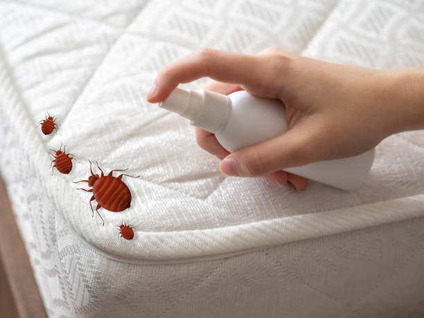 Best Wasp Removal Services  in Fox Point, WI