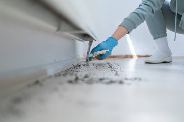 Pest Control for Restaurants in Fox Point, WI